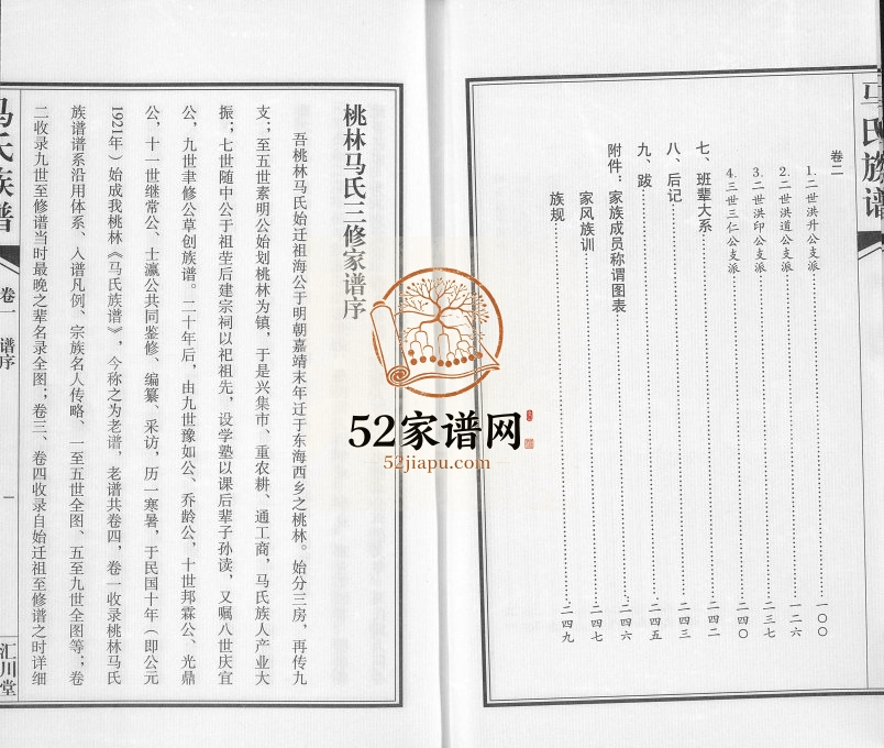 2013年修桃林马氏三修家谱[2卷]江苏东海汇川堂马姓电子版家谱下载