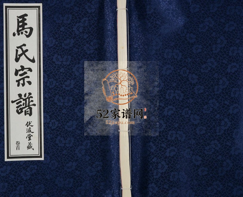 2011年续修马氏宗谱[14卷含卷首]江苏江阴伏波堂马姓电子版族谱下载