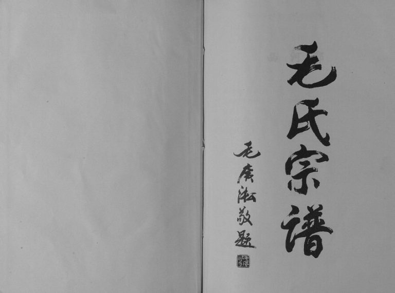2001年修毛氏宗谱 江苏阜宁 滨海注诗堂毛姓电子版族谱下载