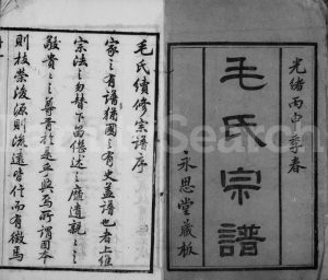 1896年修毛氏宗谱[20卷]江苏武进永思堂毛姓电子版族谱下载