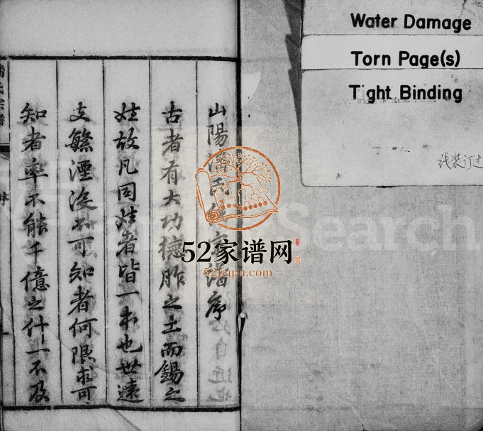1924年淮安潘氏统宗谱附续修世系[12卷另2卷]江苏潘姓电子版族谱下载