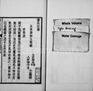 1841年修洞庭东山潘氏族谱[3卷首1卷]江苏吴中潘姓电子版家谱下载