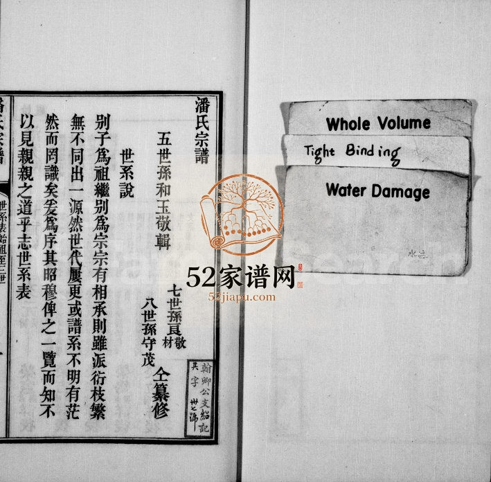 1841年修洞庭东山潘氏族谱[3卷首1卷]江苏吴中潘姓电子版家谱下载