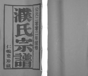 2002年九修濮氏宗谱[10卷]江苏江阴 溧水仁义堂濮姓电子版族谱下载