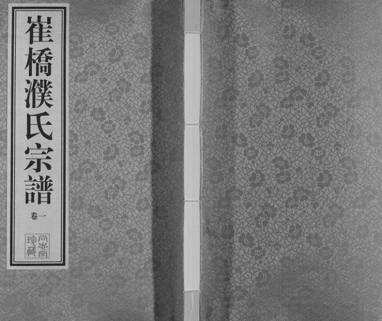2010年修崔桥濮氏宗谱[9卷]江苏常州尚忠堂濮姓电子版族谱下载