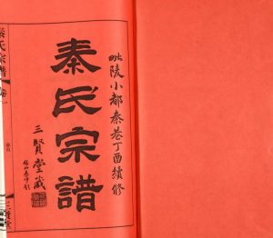 2017年重修毗陵小都秦巷三贤堂秦氏宗谱[12卷]江苏武进秦姓电子版族谱下载