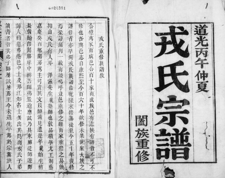 1846年修兴化戎氏宗谱[6卷]江苏戎姓电子版族谱下载