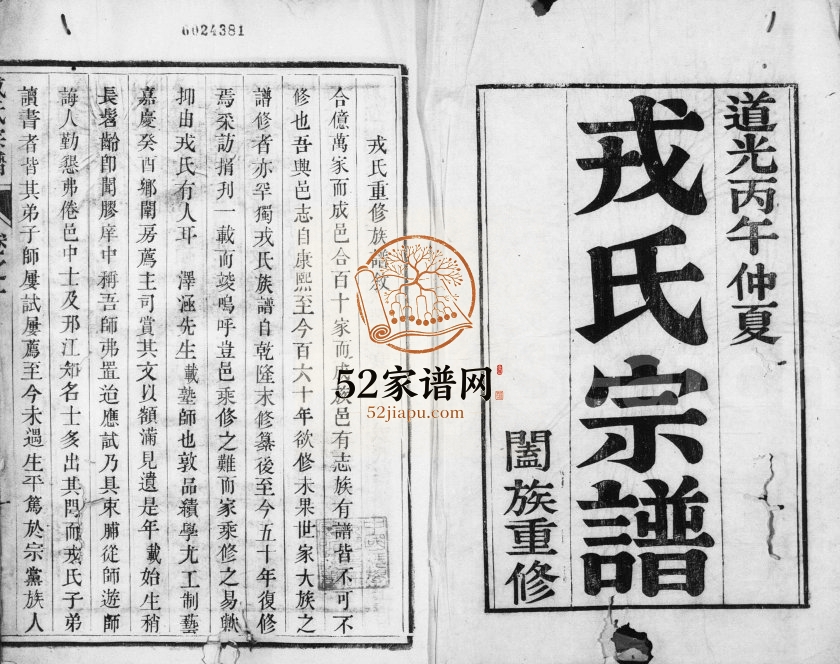 1846年修兴化戎氏宗谱[6卷]江苏戎姓电子版族谱下载