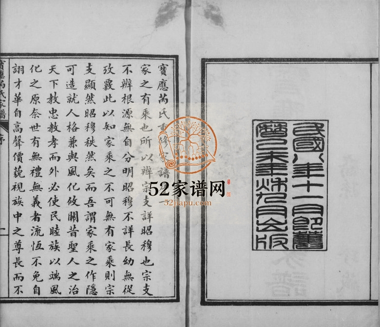 1919年宝应芮氏重修家谱[10卷]江苏芮姓电子版族谱下载
