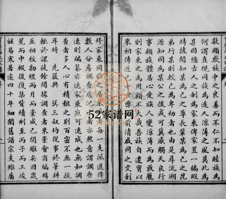 1919年宝应芮氏重修家谱[10卷]江苏芮姓电子版族谱下载