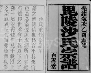 1885年修毘陵沙氏宗谱[22卷含卷首末]江苏武进百寿堂沙姓电子版族谱下载