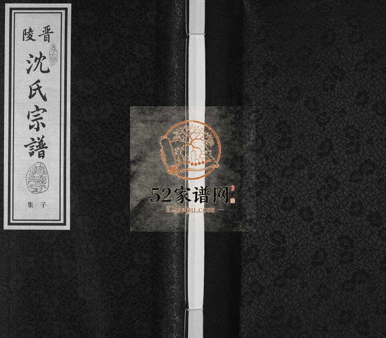 2012年修晋陵（常州）沈氏宗谱武城怀德堂崔桥文照支[17卷首1卷]江苏沈姓电子版族谱下载