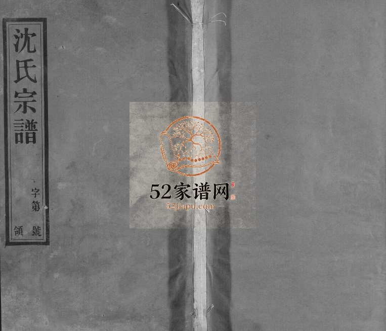1947年修沈氏宗谱 江苏无锡复初堂沈姓电子版族谱下载