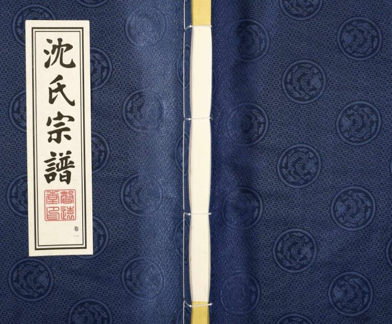 2017年修灵台沈氏宗谱 江苏武进声远堂沈姓电子版族谱下载