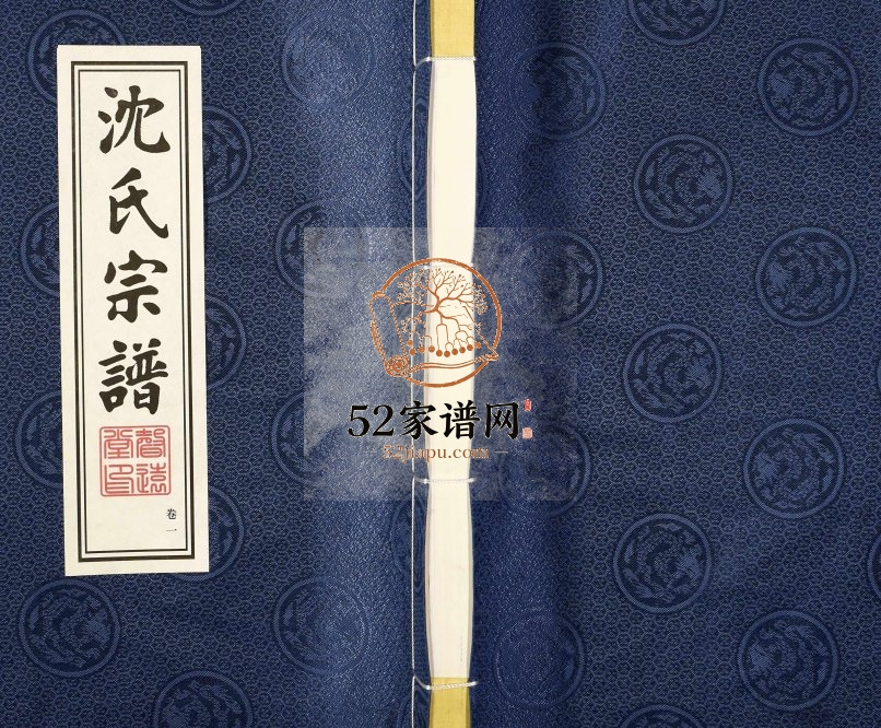 2017年修灵台沈氏宗谱 江苏武进声远堂沈姓电子版族谱下载