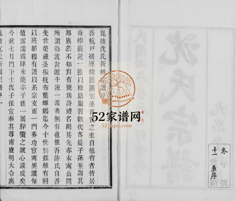 1915年修沈氏宗谱[5卷]江苏武进九思堂沈姓电子版族谱下载