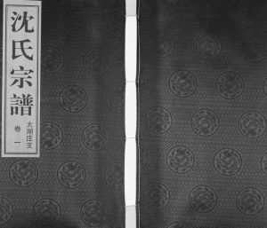 2014年续修沈氏太湖庄族谱[2卷]江苏江阴余庆堂沈姓电子版族谱下载