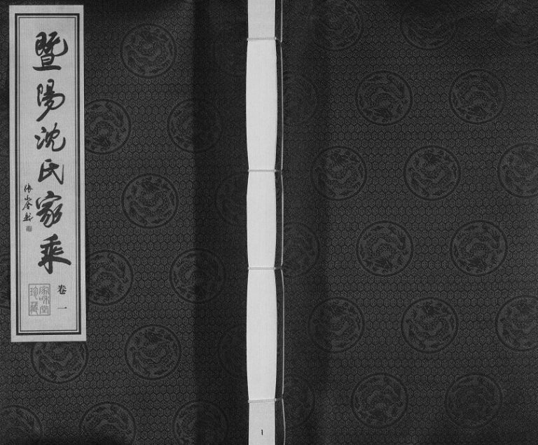 2017年续修暨阳陶城沈氏家乘 江苏江阴家和堂沈姓电子版族谱下载