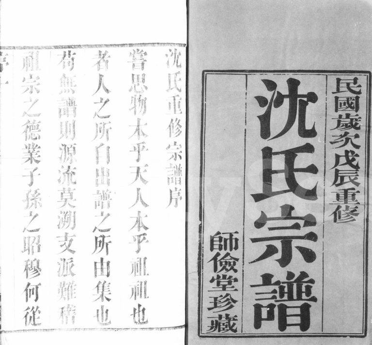 1928年修沈氏宗谱[10卷]江苏武进师俭堂沈姓电子版族谱下载