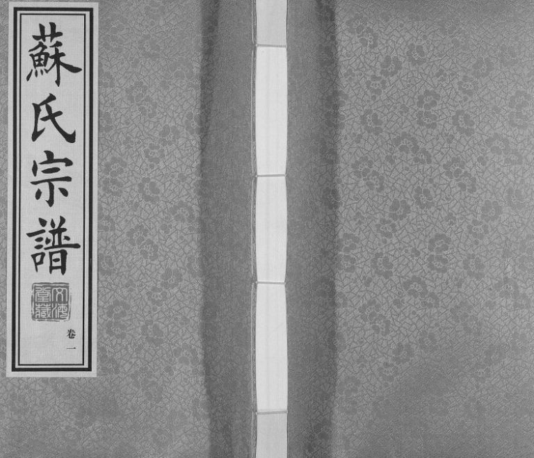 2017年九修毗陵苏氏宗谱[10卷]江苏常州文海堂苏姓电子版族谱下载