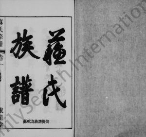 1999年修苏氏宗谱[11卷]江苏江阴 武进聚星堂苏姓电子版族谱下载