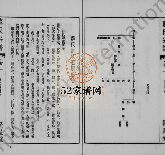 1999年修苏氏宗谱[11卷]江苏江阴 武进聚星堂苏姓电子版族谱下载