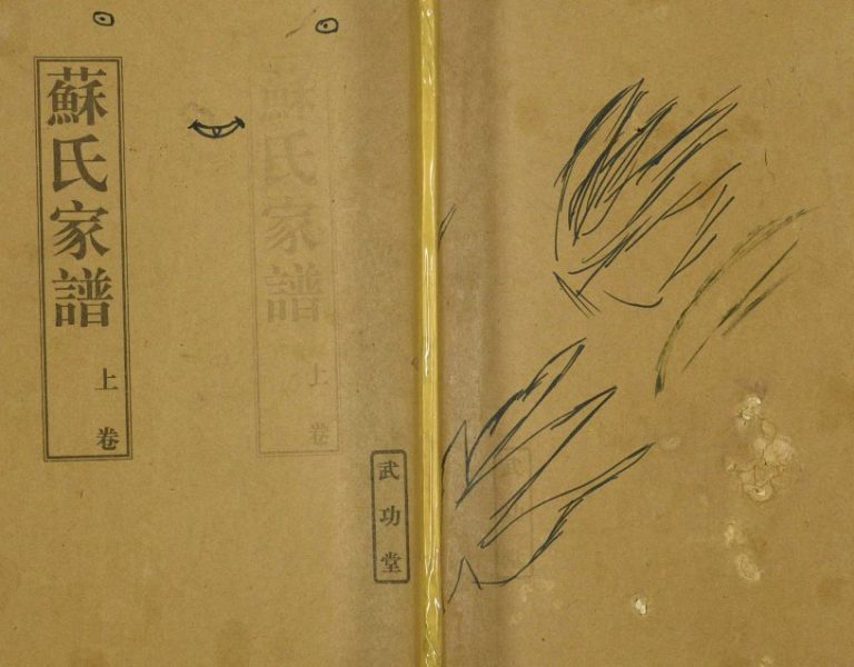 1998年修苏氏家谱 江苏盐城武功堂苏姓电子版族谱下载