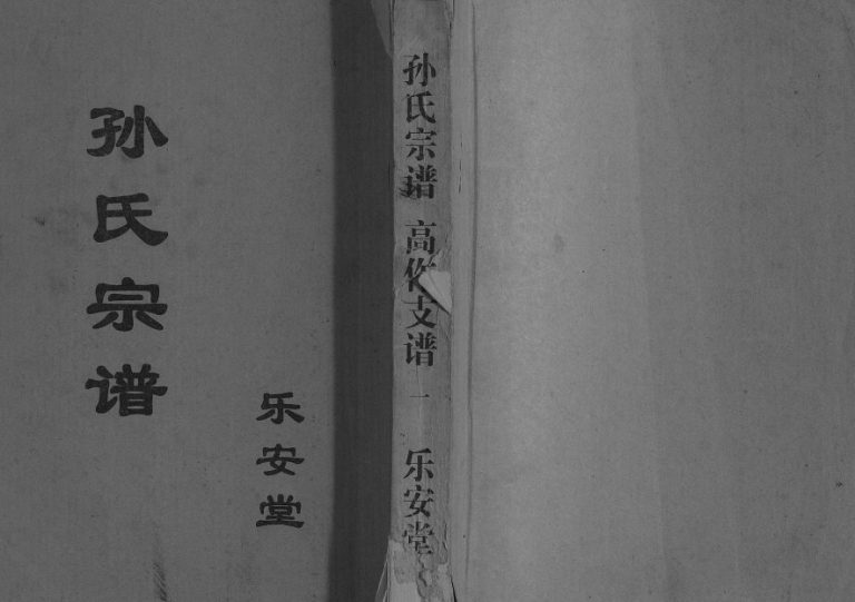 2002年修孙氏宗谱高作支谱 江苏建湖乐安堂孙姓电子版族谱下载