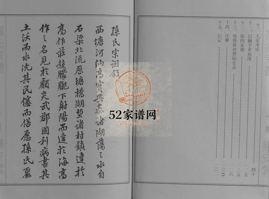 2002年修孙氏宗谱高作支谱 江苏建湖乐安堂孙姓电子版族谱下载