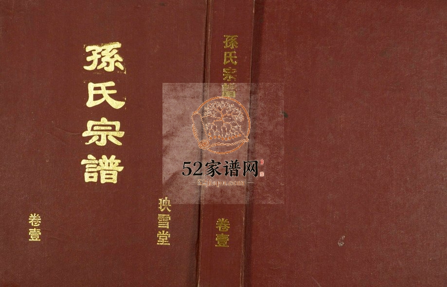 2003年修孙氏宗谱[2卷]江苏盐城映雪堂孙姓电子版族谱下载