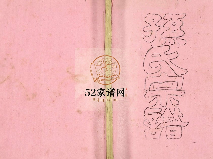 1990年修孙氏宗谱 江苏建湖乐安堂孙姓电子版族谱下载
