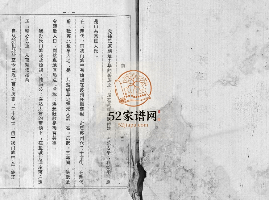 1994年修孙氏宗谱 江苏建湖乐安堂孙姓电子版族谱下载