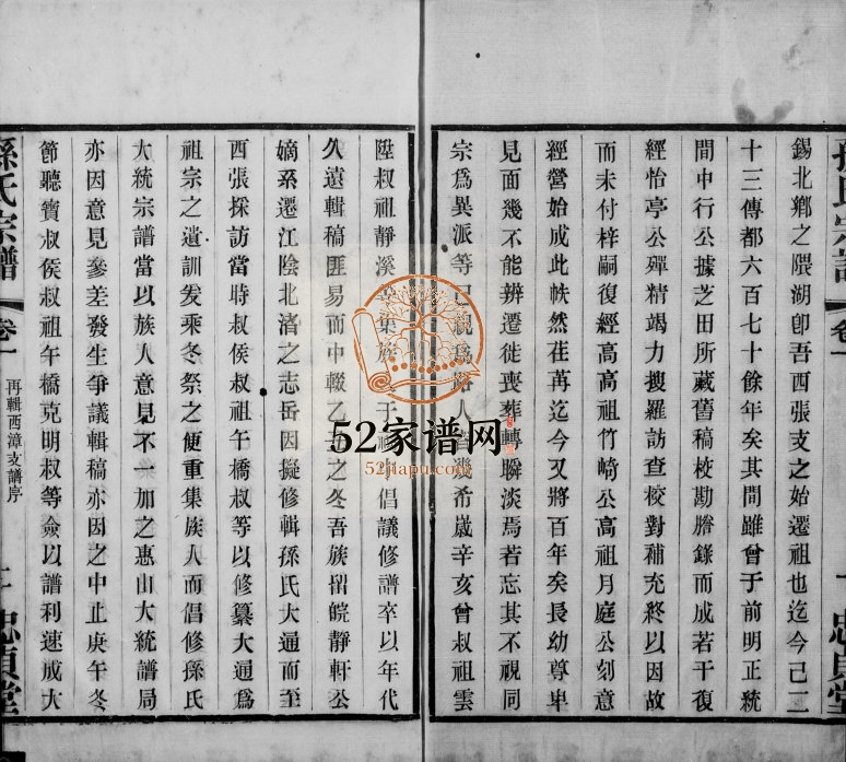 1933年五修孙氏宗谱西漳支谱[4卷]江苏无鍚忠贞堂孙姓电子版族谱下载