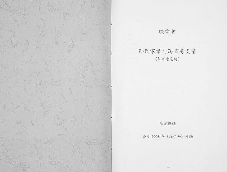 2009年修孙氏宗谱马荡首房支谱[不分卷]江苏阜宁映雪堂孙姓电子版族谱下载