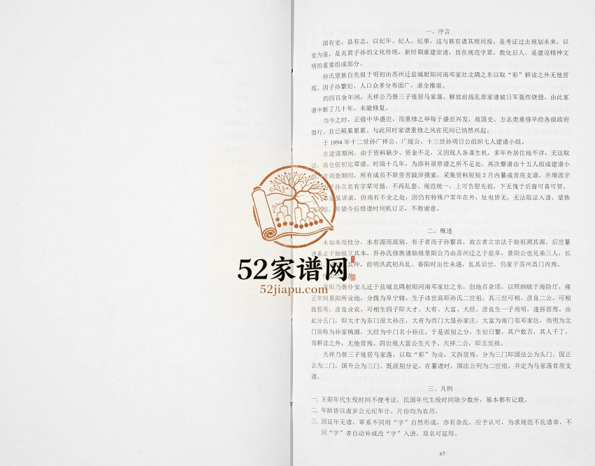 2009年修孙氏宗谱马荡首房支谱[不分卷]江苏阜宁映雪堂孙姓电子版族谱下载