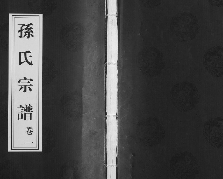 2009年八修毗陵黄墅桥孙氏宗谱[8卷首1卷]江苏武进崇德堂孙姓电子版族谱下载