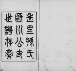 1902年修孟里孙氏汇川公支世谱存稿 上海孙姓电子版族谱下载