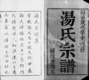 1871年修暨阳汤氏宗谱[37卷含卷首附家藏集选5卷]江苏江阴留余堂汤姓电子版族谱下载