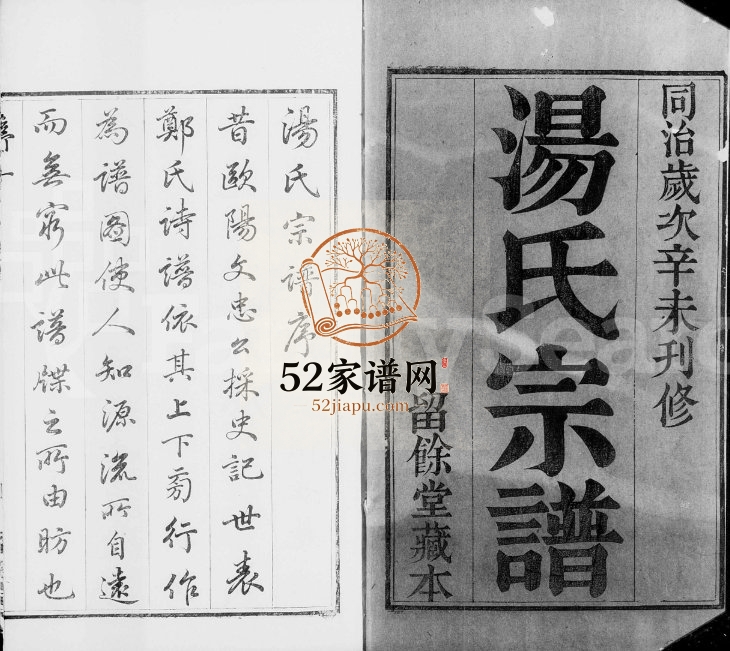 1871年修暨阳汤氏宗谱[37卷含卷首附家藏集选5卷]江苏江阴留余堂汤姓电子版族谱下载