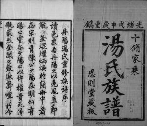 1908年汤氏十修宗谱[20卷]江苏丹阳思则堂汤姓电子版族谱下载