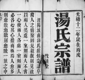 1886年修溧阳城南汤氏宗谱[8卷]江苏敦睦堂汤姓电子版族谱下载