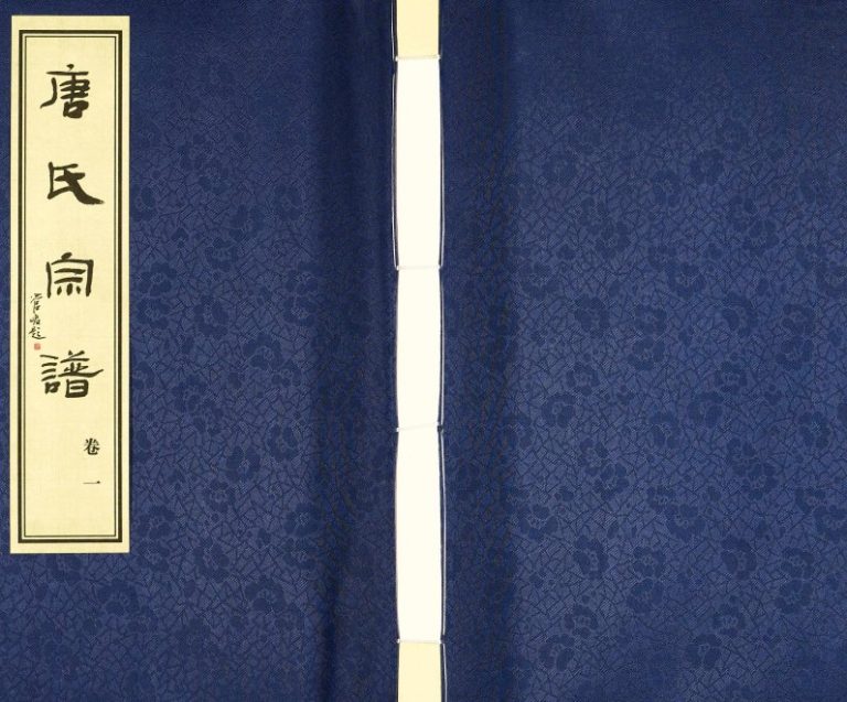 2017年修唐氏宗谱[28卷]江苏江阴 武进桐封堂;永思堂唐姓电子版族谱下载