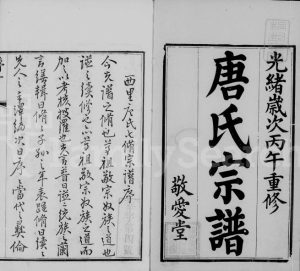 1906年修前洲西里唐氏宗谱[12卷]江苏无锡敬爱堂唐姓电子版族谱下载