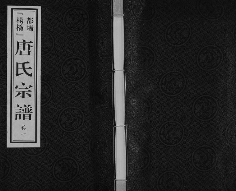 2016年修毗陵都场杨桥唐氏宗谱[十卷]江苏武进经义堂唐姓电子版族谱下载