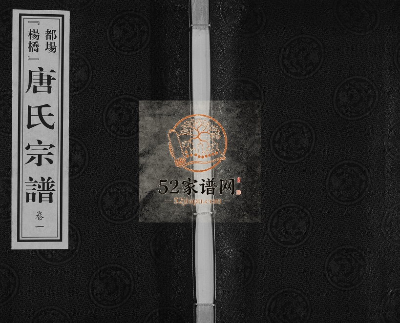 2016年修毗陵都场杨桥唐氏宗谱[十卷]江苏武进经义堂唐姓电子版族谱下载