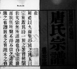 1917年修唐氏宗谱[12卷首1卷]江苏武进垂裕堂唐姓电子版族谱下载