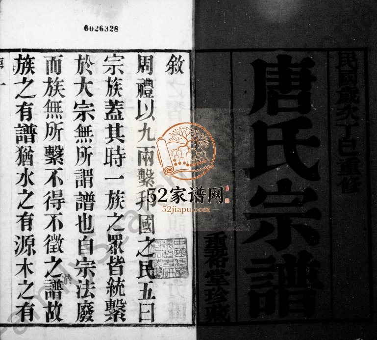 1917年修唐氏宗谱[12卷首1卷]江苏武进垂裕堂唐姓电子版族谱下载