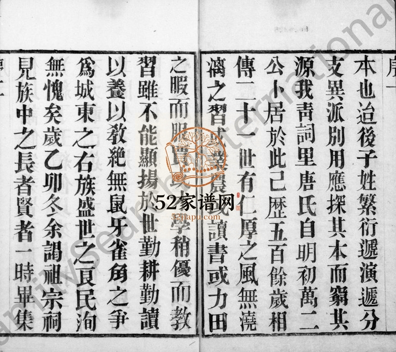 1917年修唐氏宗谱[12卷首1卷]江苏武进垂裕堂唐姓电子版族谱下载