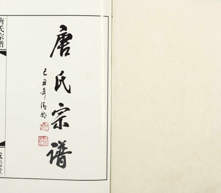 2009年八修胡庄唐氏宗谱[8卷]江苏溧阳成美堂唐姓电子版族谱下载