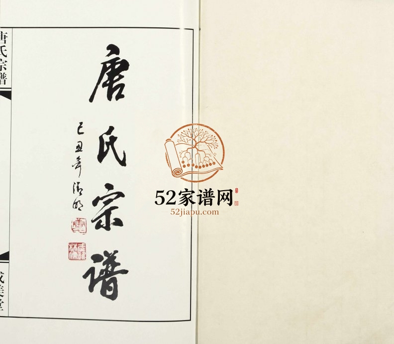 2009年八修胡庄唐氏宗谱[8卷]江苏溧阳成美堂唐姓电子版族谱下载